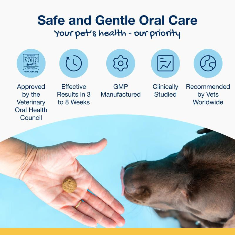 Proden Plaqueoff Dental Chews for Dogs - Soft Treats with 100% Natural Kelp Ingredient for Reducing Plaque and Freshening Bad Breath